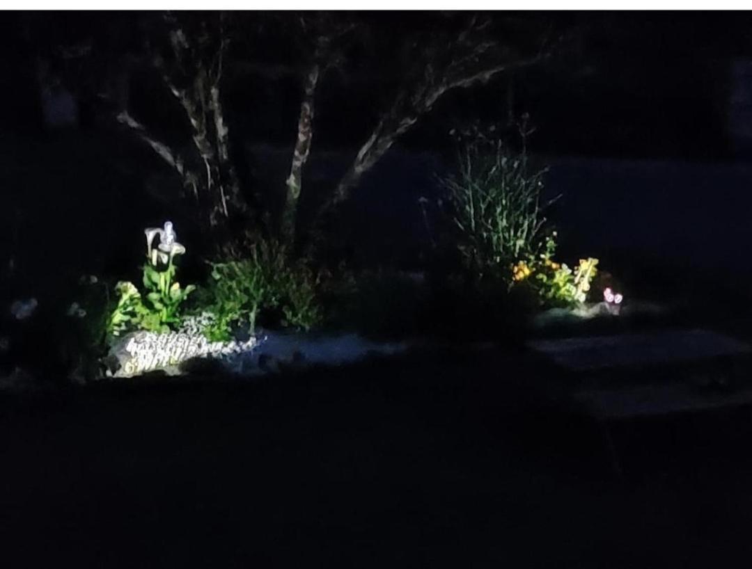 Au Plaisir De L'Ivoie Chambre Double Le May-sur-Evre Номер фото